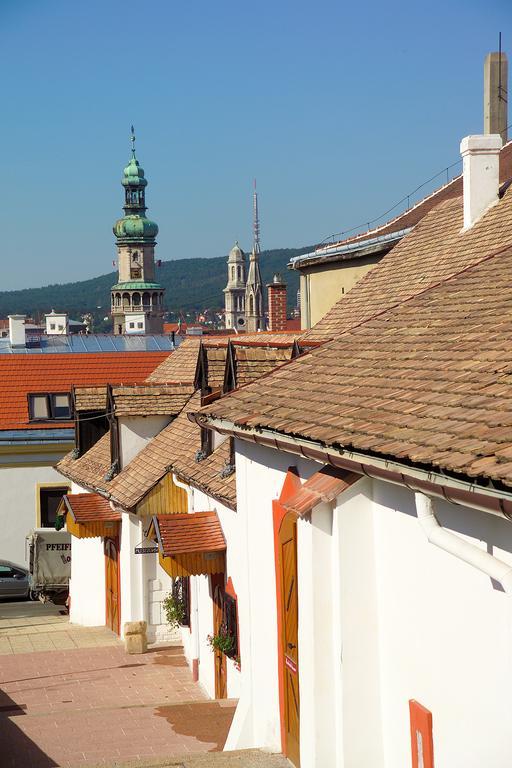 Vinosseum Bor- Es Apartmanhaz Шопрон Екстер'єр фото